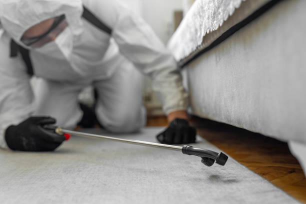 Professional Ant Control technician working in Angola, NY